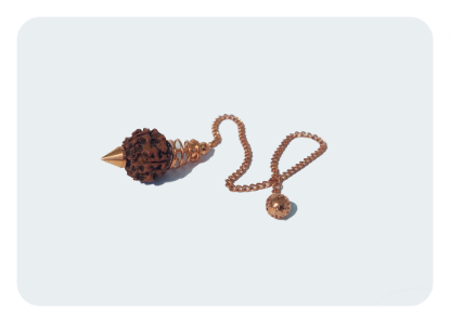 Imagem de Pêndulo Semente Rudraksha