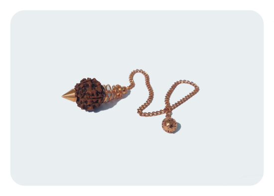 Imagem de Pêndulo Semente Rudraksha